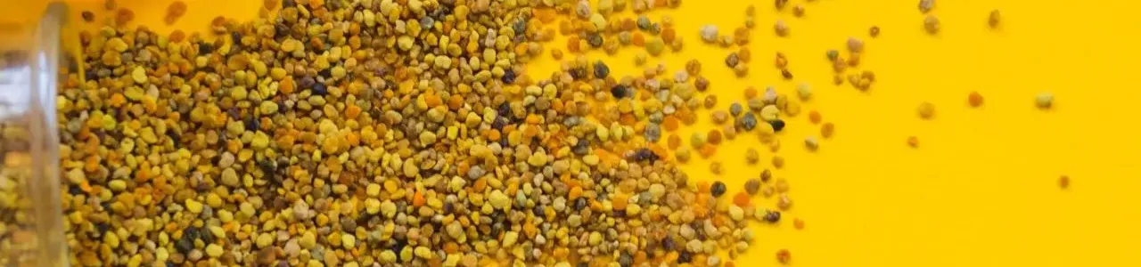 Polen de Abejas